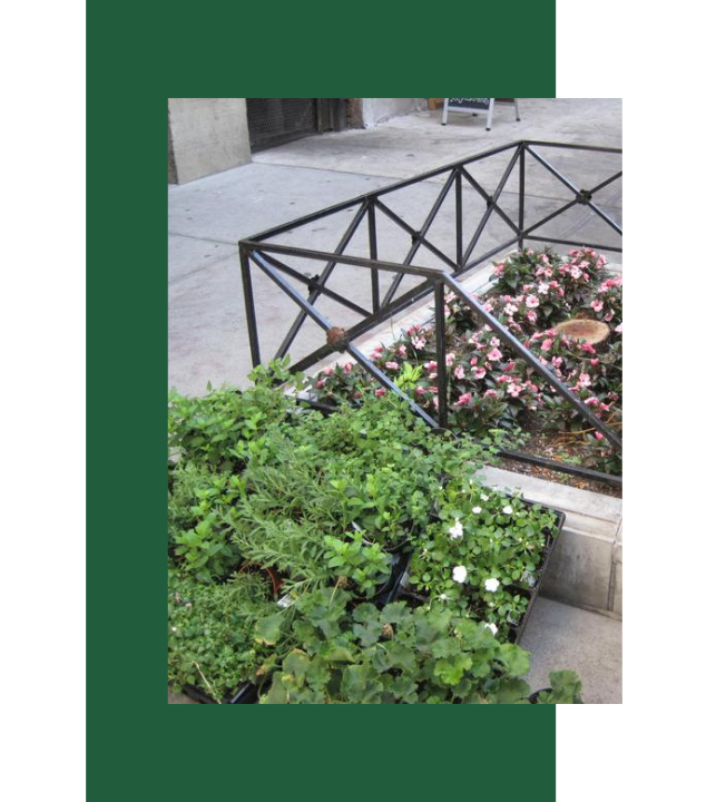 Commercial Landscaping Company NYC