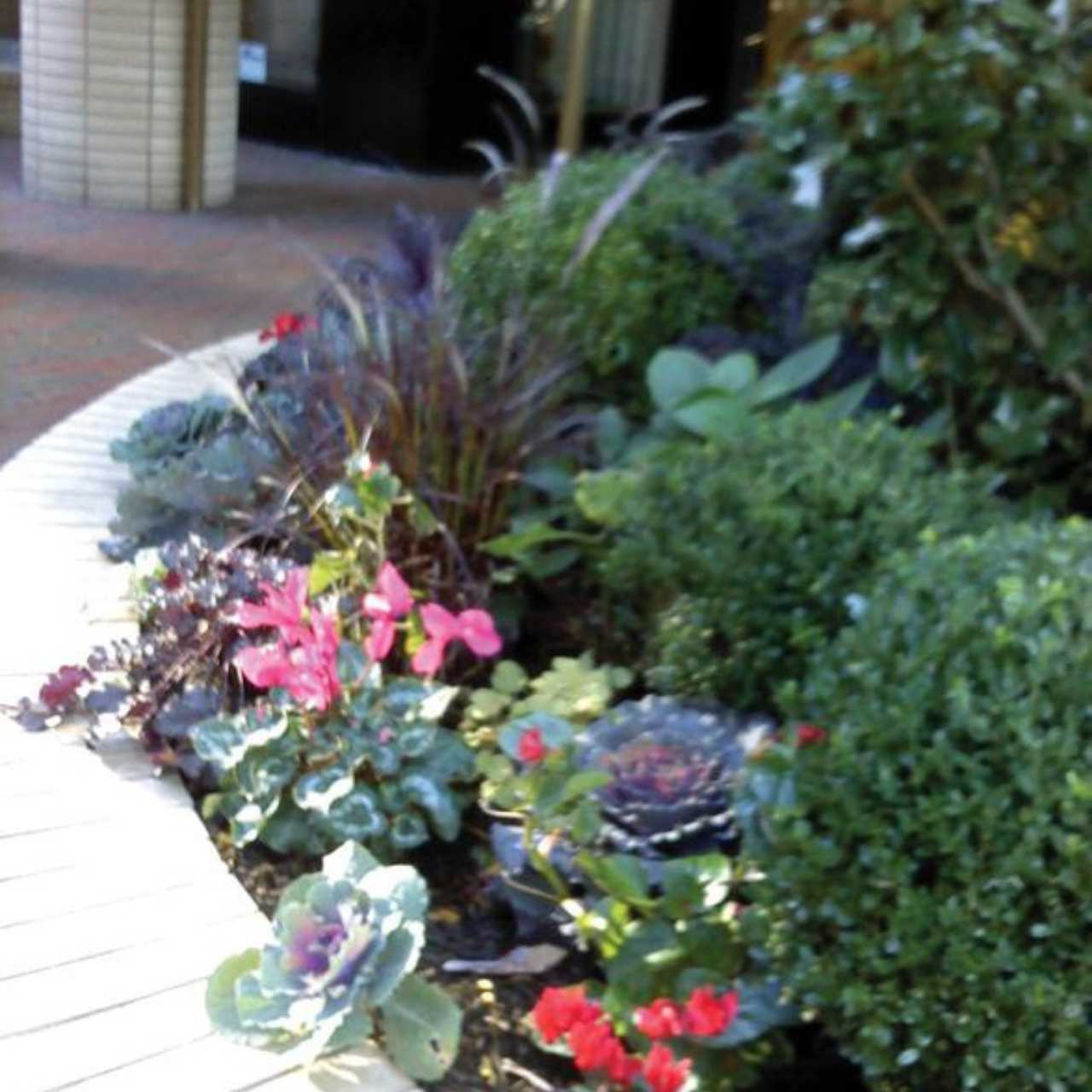 affordable commercial landscaping company NYC