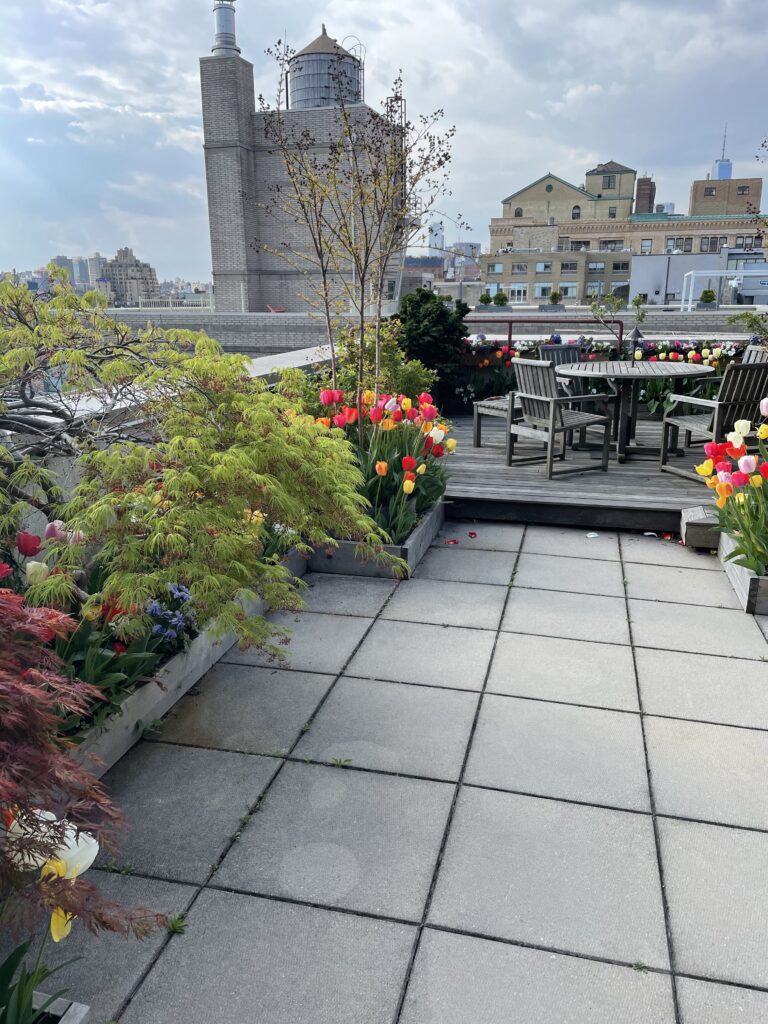 Rooftop landscaping, Urban gardening Manhattan