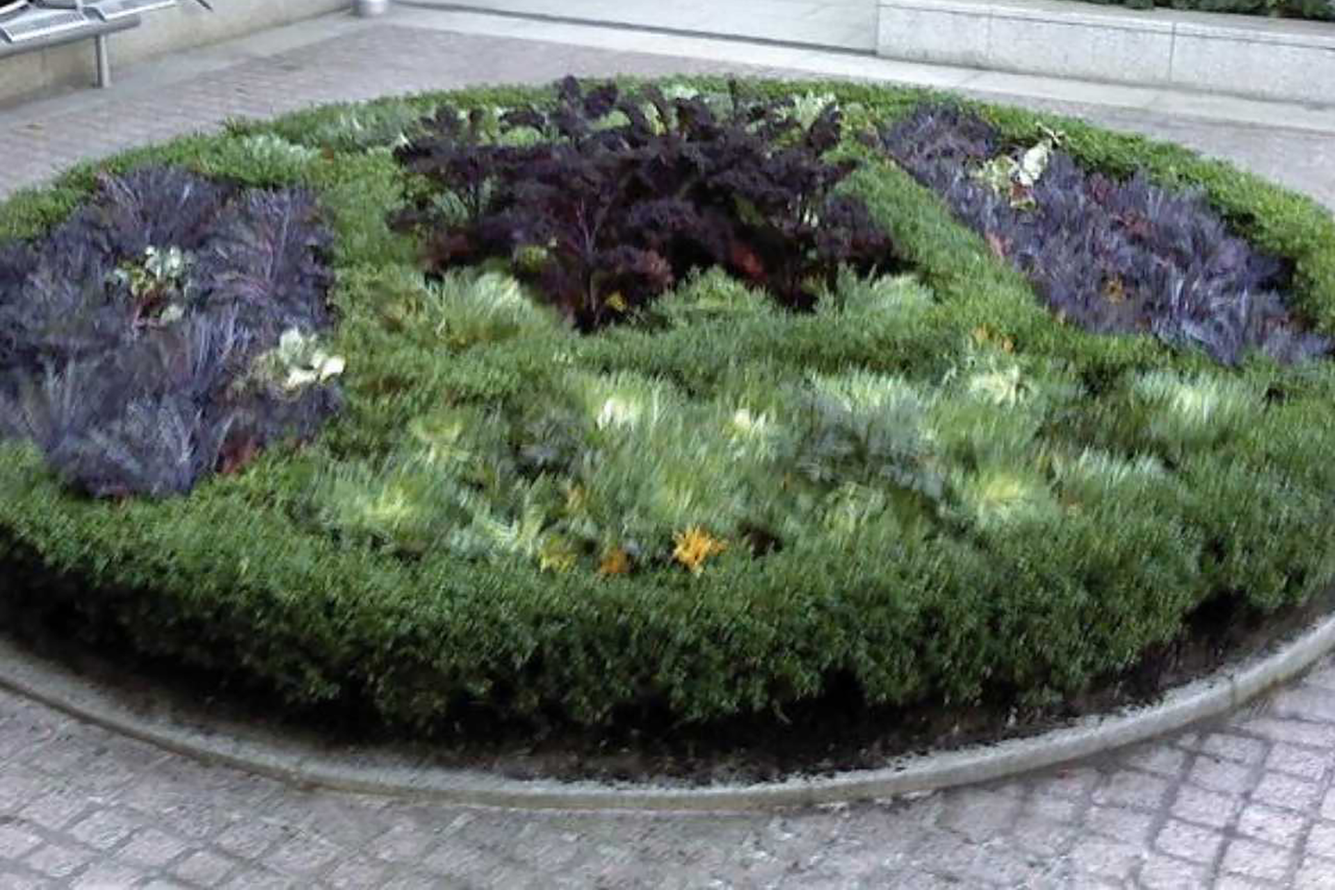 commercial landscaping nyc